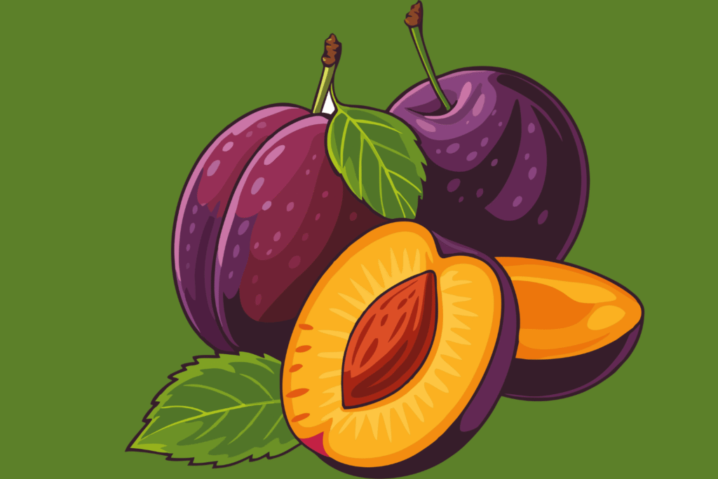 Benefícios da ameixa Benefícios da ameixa