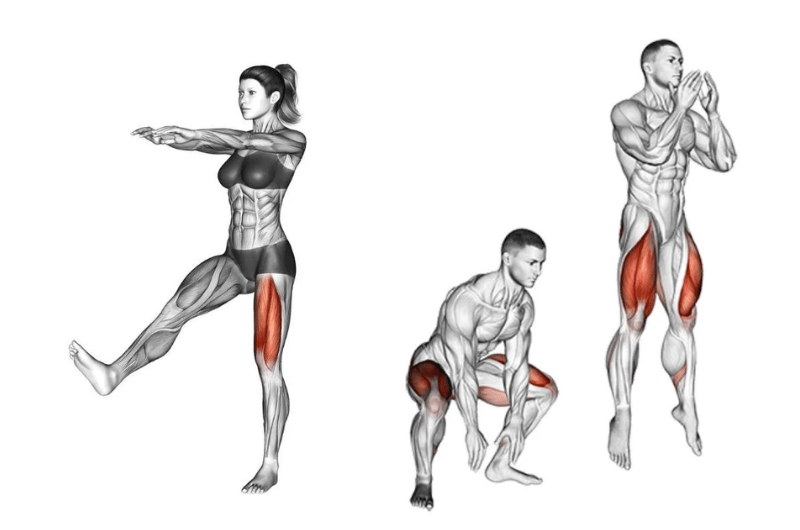Exercícios para engrossar as pernas