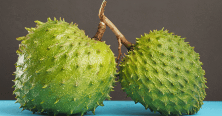 Benefícios da graviola: uma fruta incrível para sua saúde