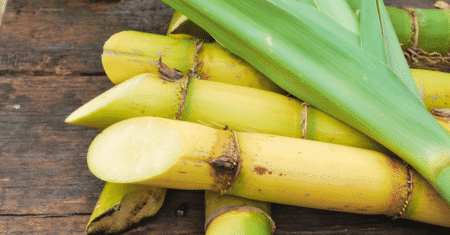 Caldo de cana: 9 benefícios, calorias, engorda e receita